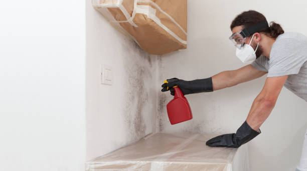 Professional Bathroom Mold Removal technician working in Fort George G Meade, MD